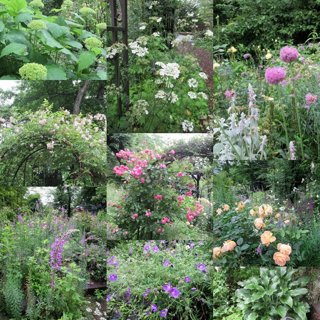 ぴきょログ 軽井沢でぐーたら生活