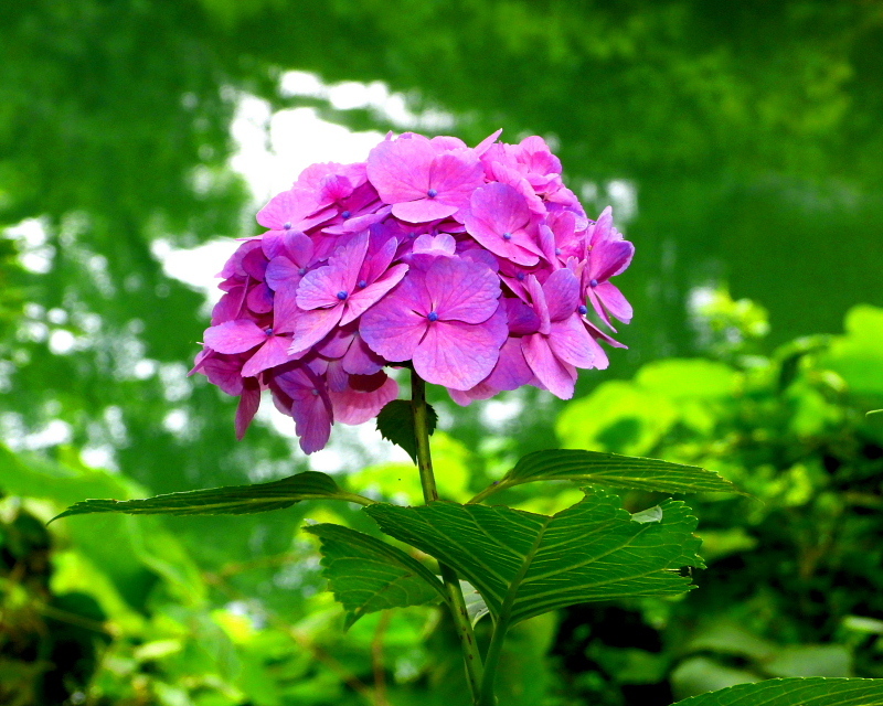c0305565_17514774.jpg