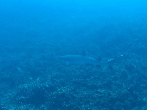 e0096370_09430365.jpg