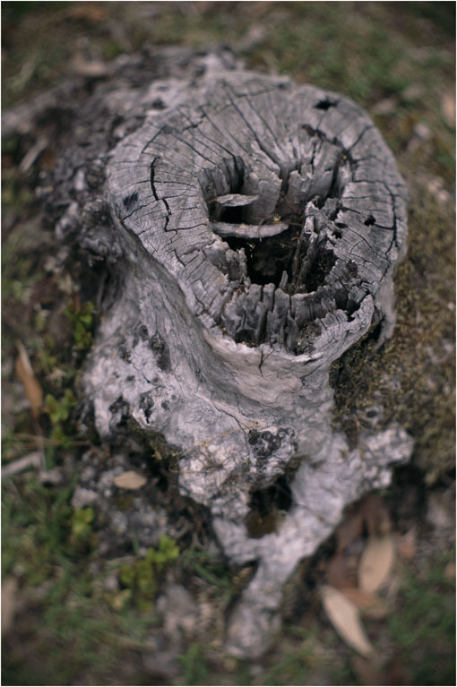c0168172_17253048.jpg