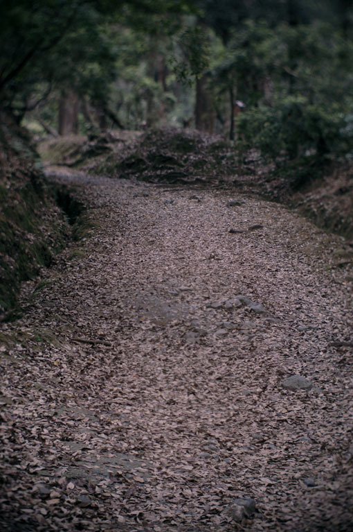 c0168172_17291213.jpg