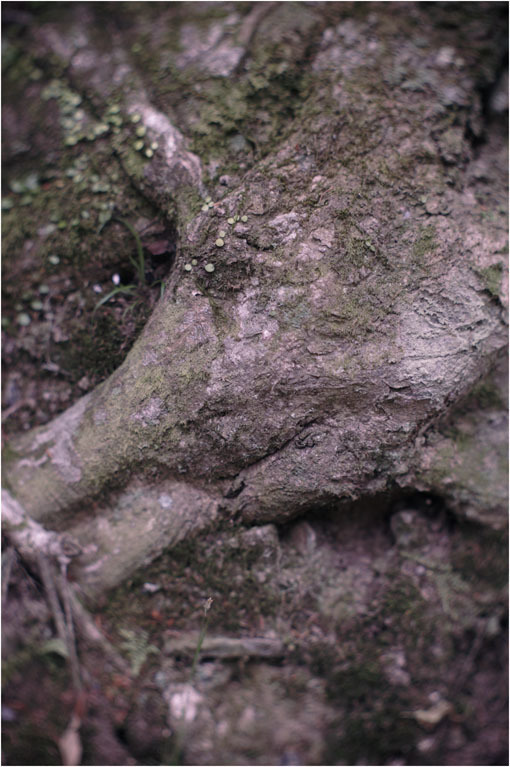 c0168172_17301013.jpg