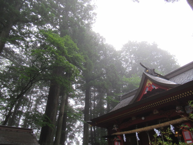 d0109373_22262712.jpg