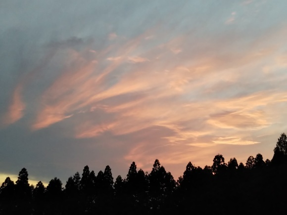 c0100174_00100091.jpg