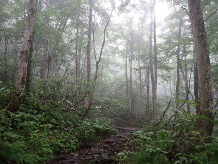 花の焼石岳①（岩手県奥州市）_d0182075_06382130.jpg