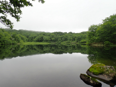 花の焼石岳①（岩手県奥州市）_d0182075_06383804.jpg