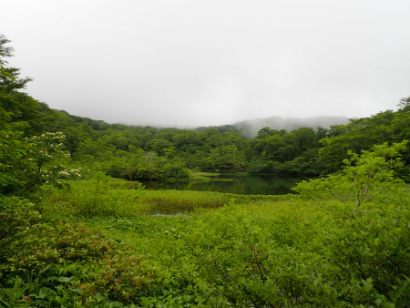 花の焼石岳①（岩手県奥州市）_d0182075_06384833.jpg