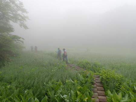 花の焼石岳①（岩手県奥州市）_d0182075_06385456.jpg