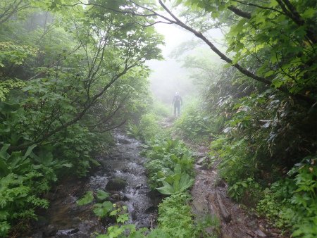 花の焼石岳①（岩手県奥州市）_d0182075_06411836.jpg