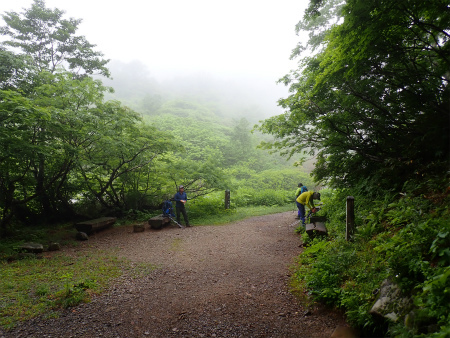 花の焼石岳①（岩手県奥州市）_d0182075_06444819.jpg