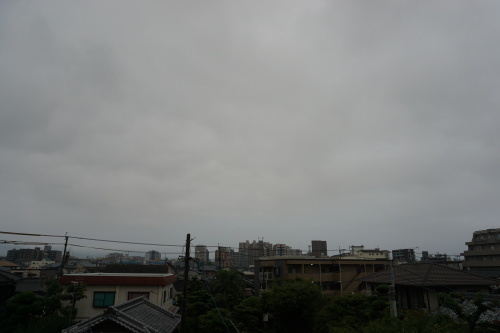 c0169176_07355275.jpg