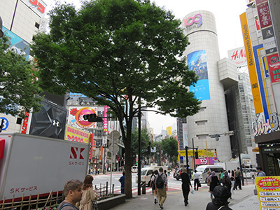 b0056983_15204469.jpg