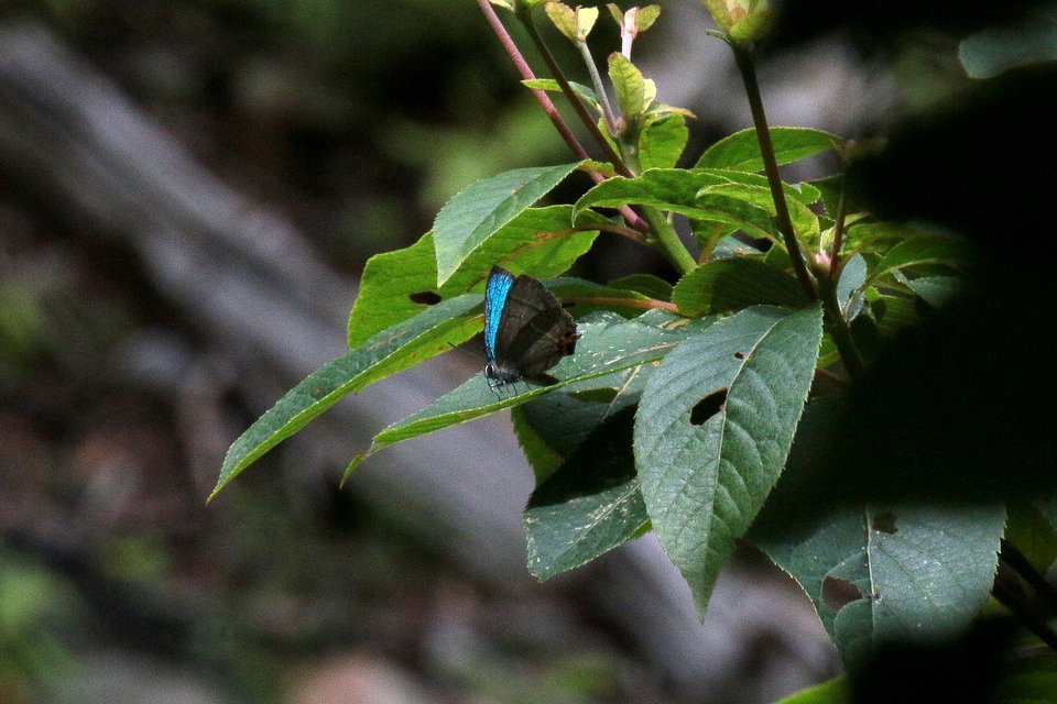 f0373486_05262222.jpg