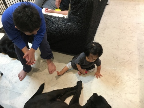 相互扶助_f0347891_02194261.jpeg