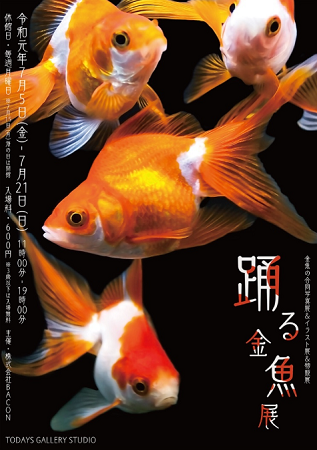 a0370893_23063769.png