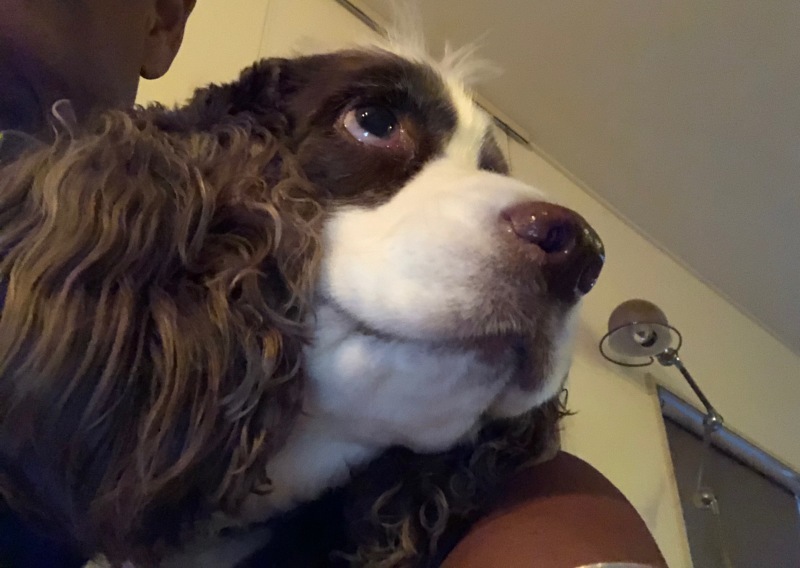 1960PORSCHE 356-B SUPER 90      /   ポルシェ356  ホイール・タイヤ交換_b0195093_09462018.jpg