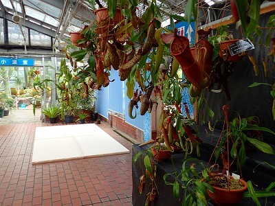 f0203094_09202497.jpg