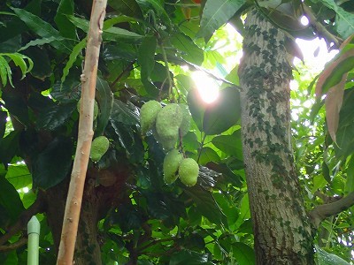 f0203094_09303896.jpg