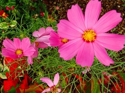 f0203094_09455149.jpg