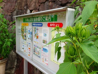 f0203094_09480971.jpg