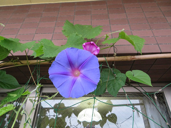 f0346196_17184320.jpg