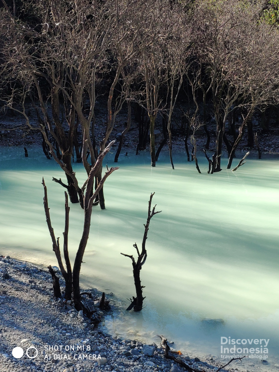 幻想的！！バンドンから日帰りで行く火口湖『カワプティ』 - Kawah Putih, Indonesia_b0108109_16413191.jpg