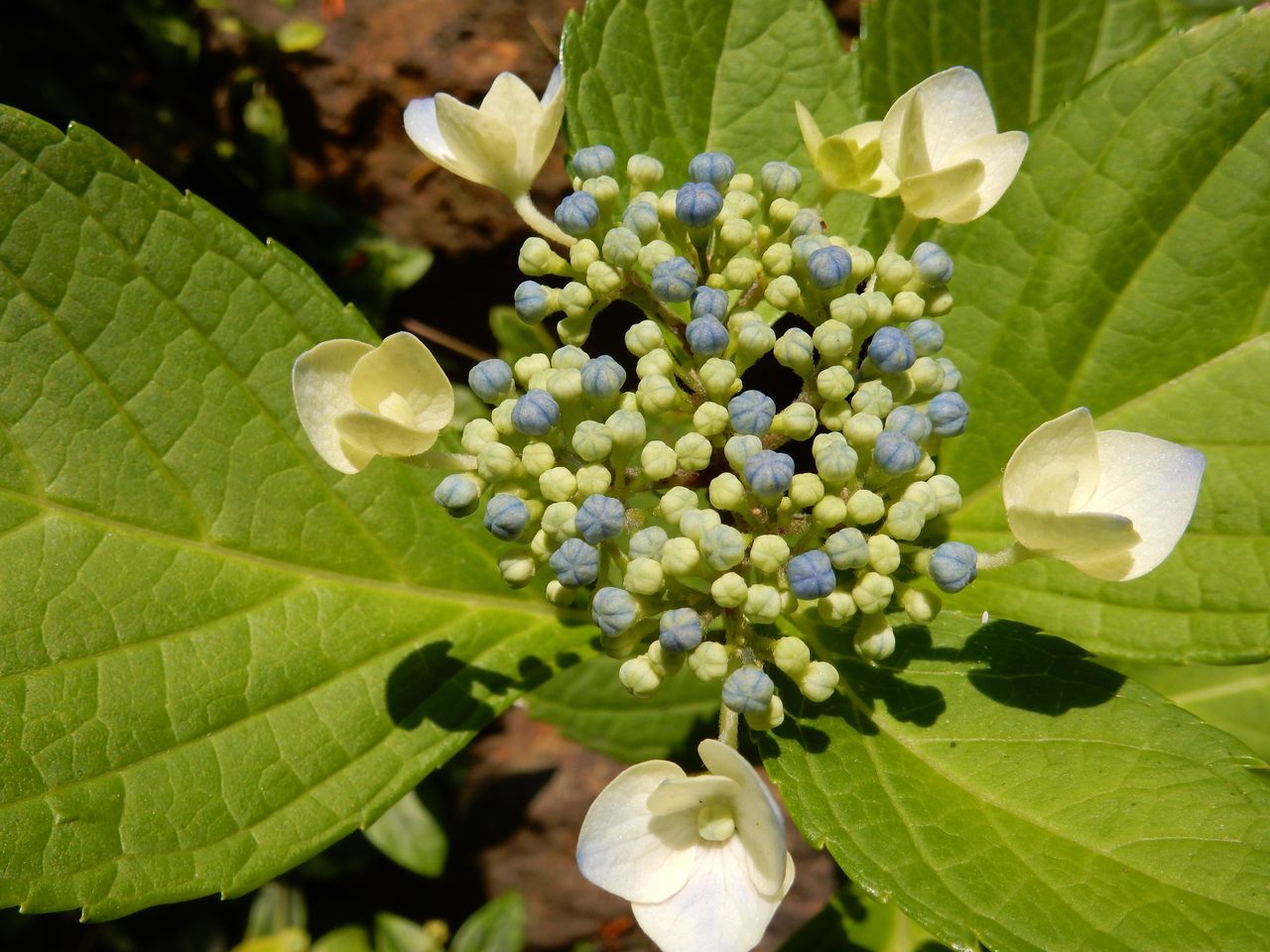 c0025115_21485166.jpg