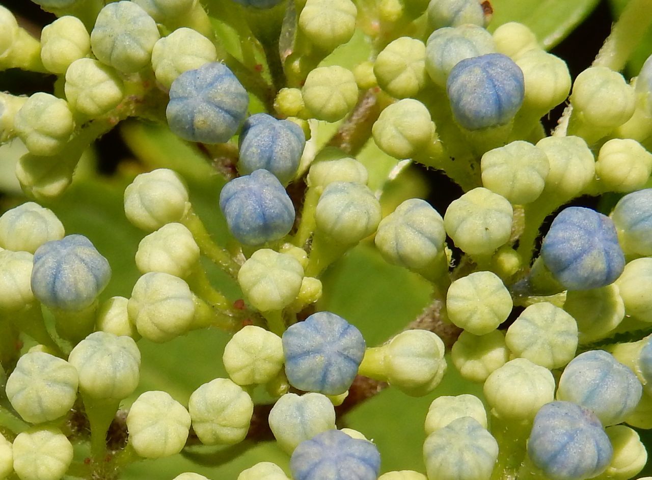 c0025115_21485589.jpg