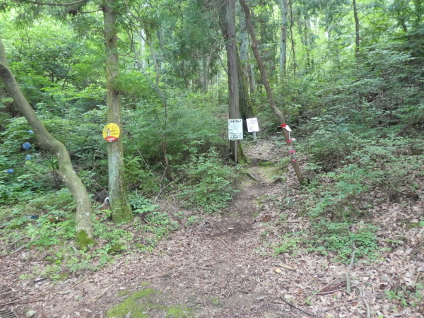 d0170615_21033984.jpg