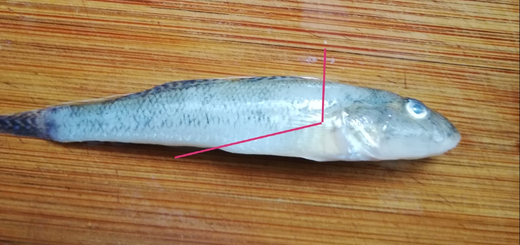 ハゼの南蛮漬け たけ千代んちのレシピ 自然と遊ぼう たけ千代釣行記 ハゼの南蛮漬け たけ千代んちのレシピ 自然と遊ぼう たけ千代釣行記