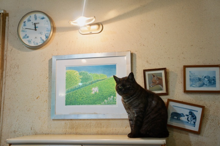 f0234023_19365737.jpeg