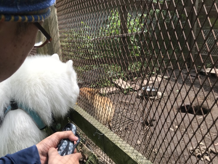 f0234023_19373594.jpeg