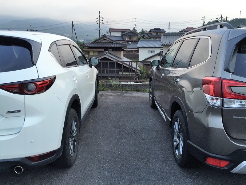 完全有機栽培とe-BOXER_f0076731_18261887.jpg