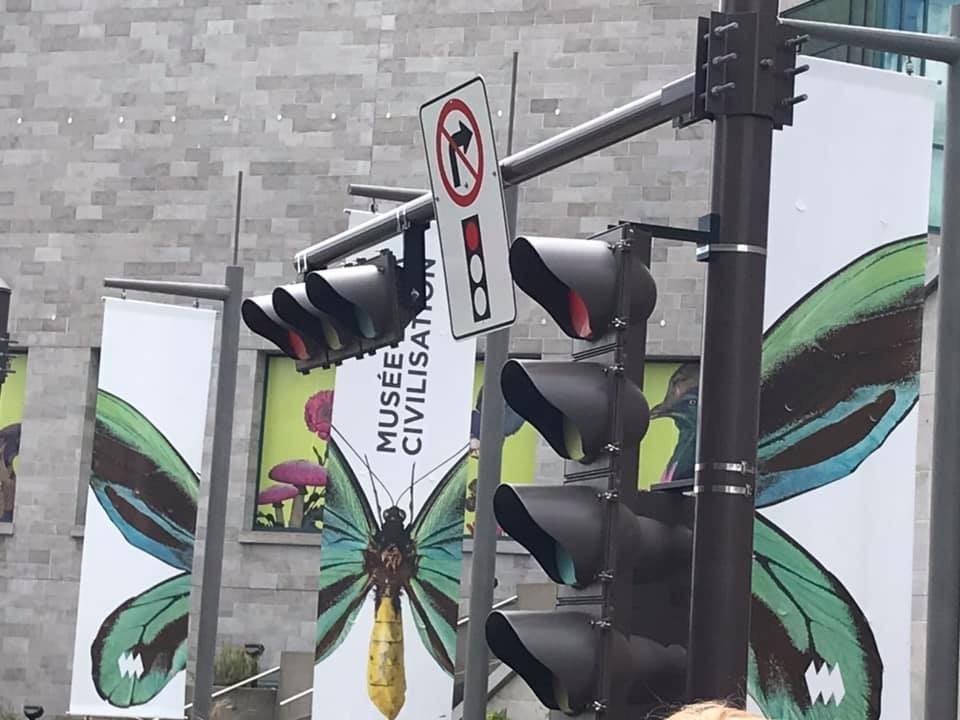 d0269832_05525610.jpeg