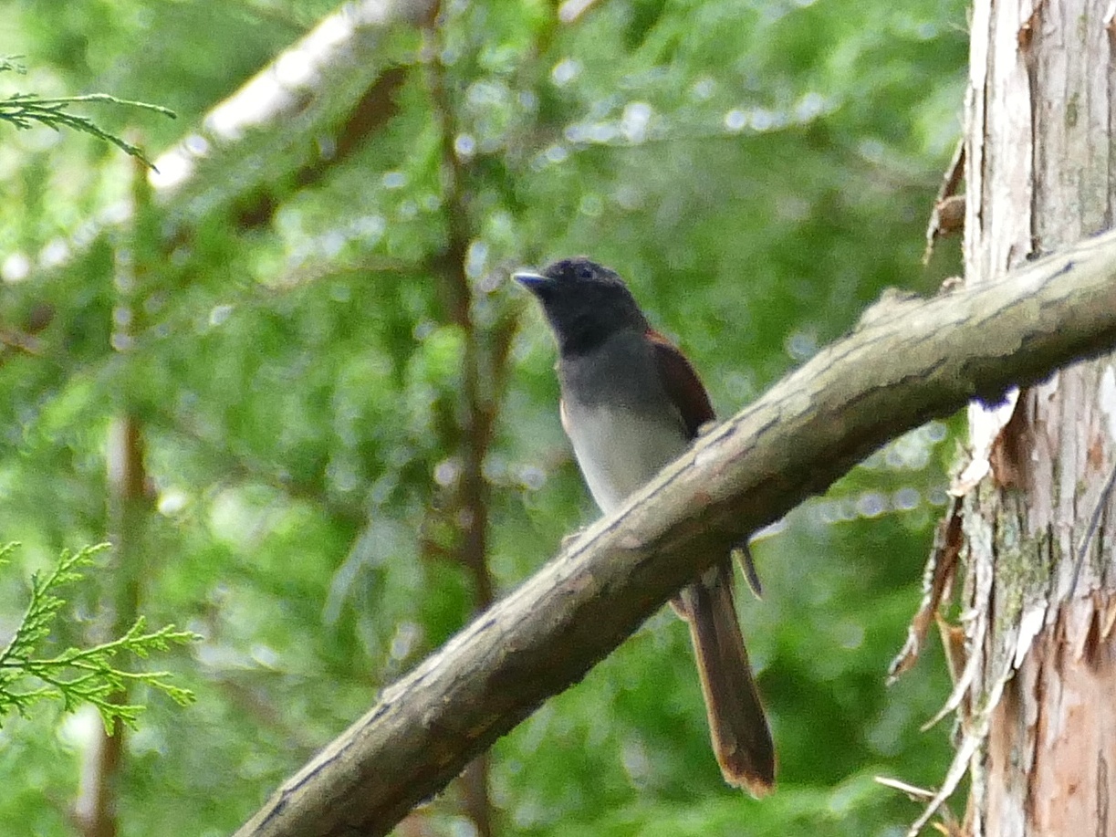 f0340732_19221822.jpg