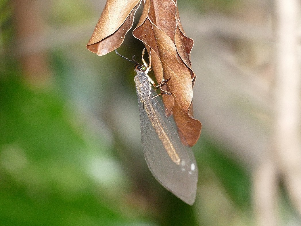f0340732_19270542.jpg