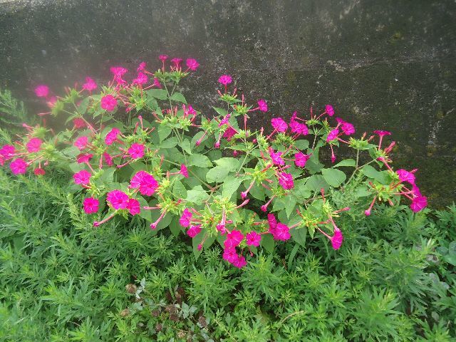 d0380237_09264977.jpg