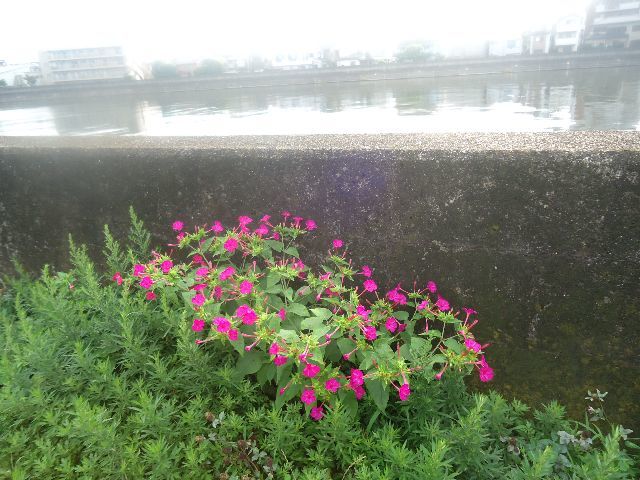 d0380237_09292360.jpg