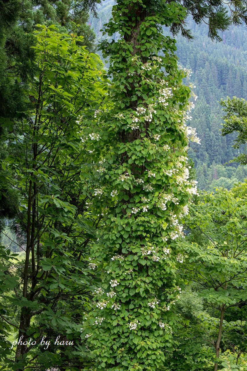 f0297537_11084029.jpg