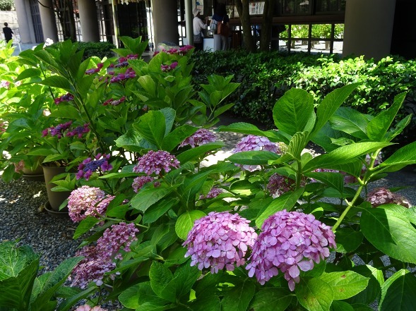 b0299042_13304307.jpg