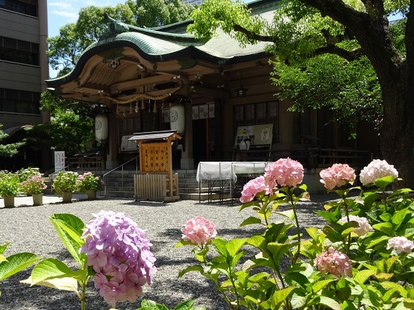 b0299042_13311239.jpg