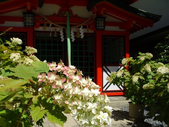 b0299042_13313922.jpg