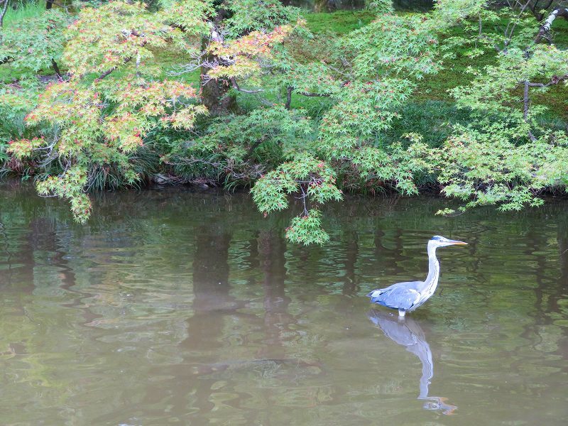 e0237645_22460602.jpg