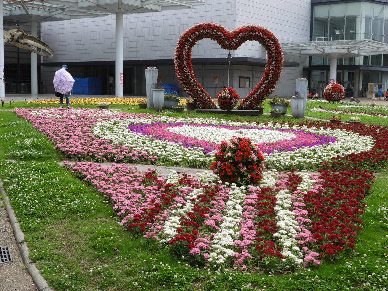 長居植物園 大阪市立 その2 テトラの徒然日記