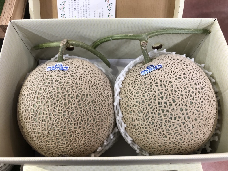 大洗まいわい市場 高級メロンのアールスメロン入荷しております！_a0283448_12501671.jpeg