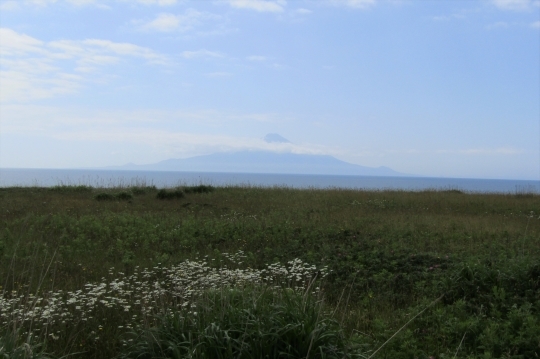 b0220251_19383159.jpg