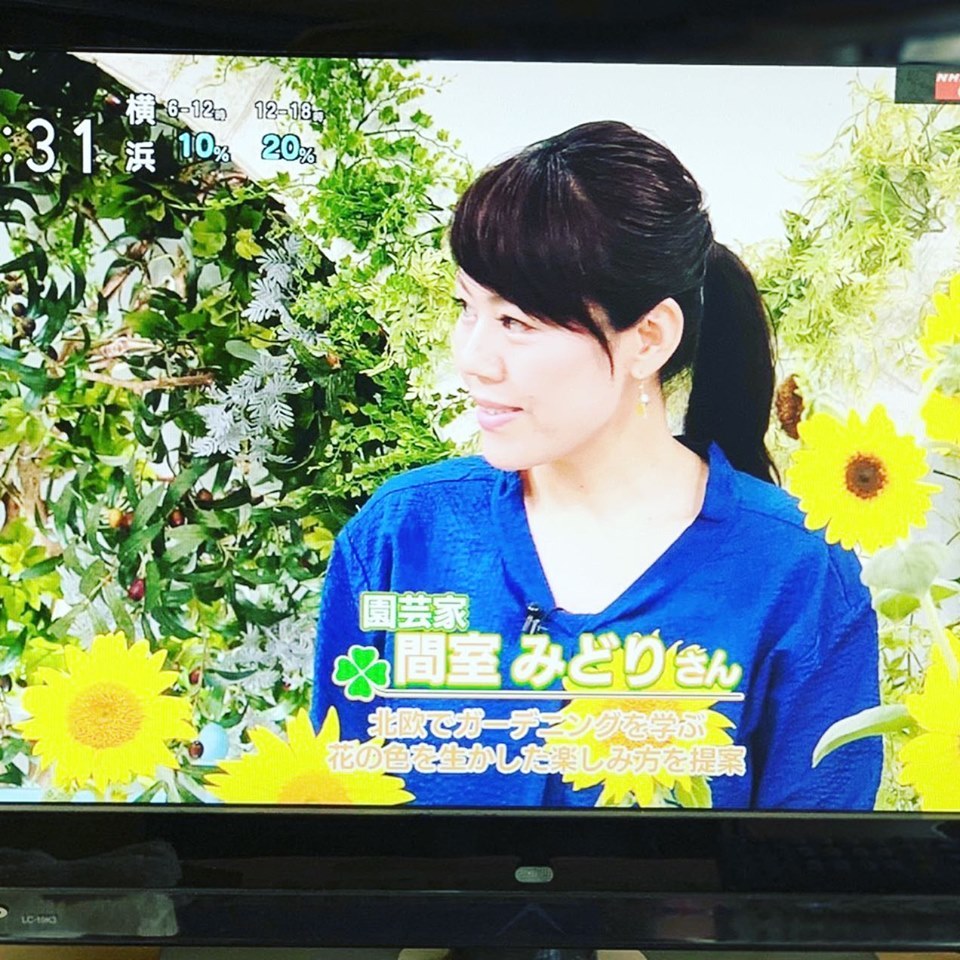 やっぱりみんな大好きなヒマワリ_f0220152_16482115.jpg