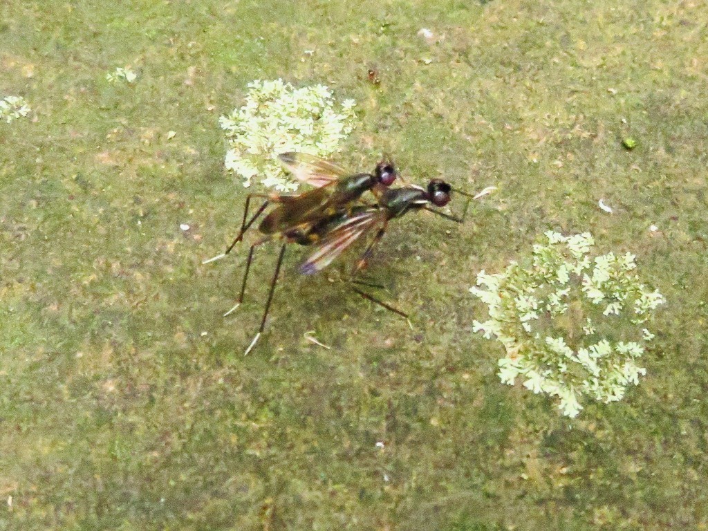 a0018655_09291608.jpg