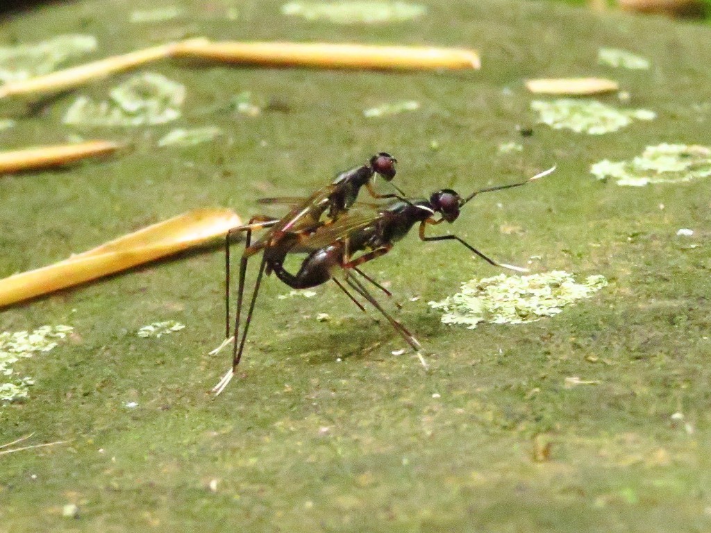 a0018655_09291698.jpg