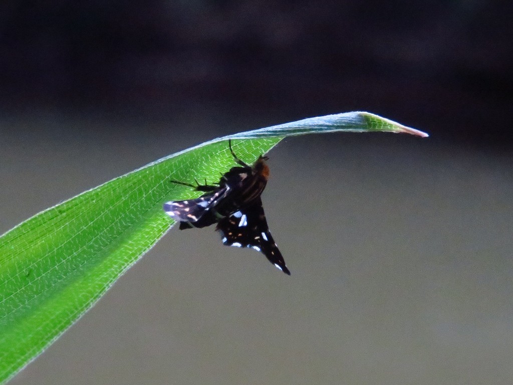 a0018655_09305024.jpg